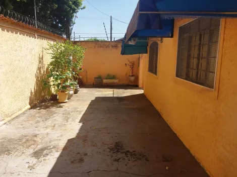 Alugar Casa / Padr&atilde;o em S&atilde;o Jos&eacute; do Rio Preto. apenas R$ 275.000,00
