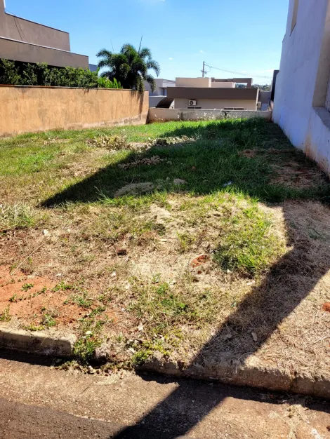Terreno / Condom&iacute;nio em S&atilde;o Jos&eacute; do Rio Preto 