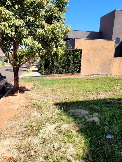 Comprar Terreno / Condom&iacute;nio em S&atilde;o Jos&eacute; do Rio Preto R$ 380.000,00 - Foto 2