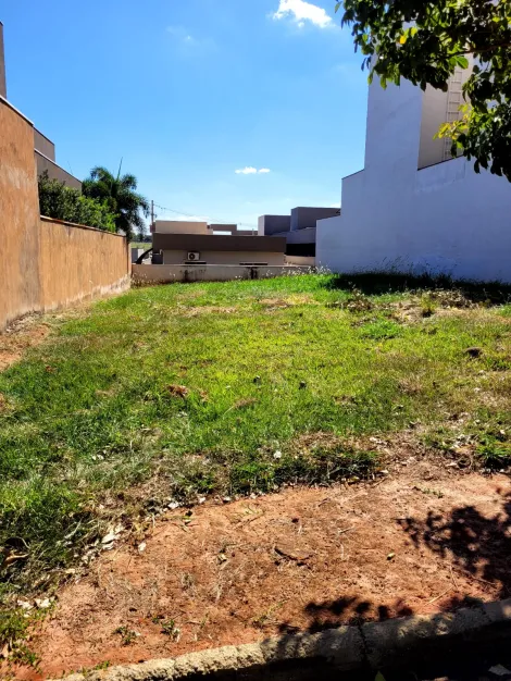 Comprar Terreno / Condom&iacute;nio em S&atilde;o Jos&eacute; do Rio Preto R$ 380.000,00 - Foto 3