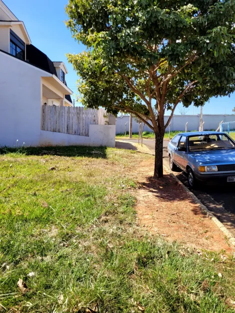 Comprar Terreno / Condom&iacute;nio em S&atilde;o Jos&eacute; do Rio Preto R$ 380.000,00 - Foto 5
