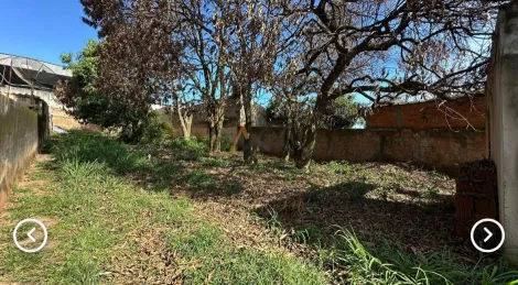 Comprar Terreno / Padr&atilde;o em Bady Bassitt R$ 750.000,00 - Foto 2
