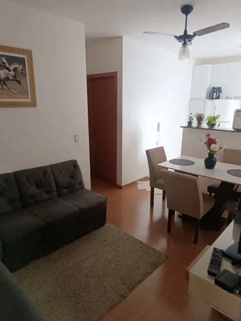 Apartamento / Padr&atilde;o em S&atilde;o Jos&eacute; do Rio Preto 