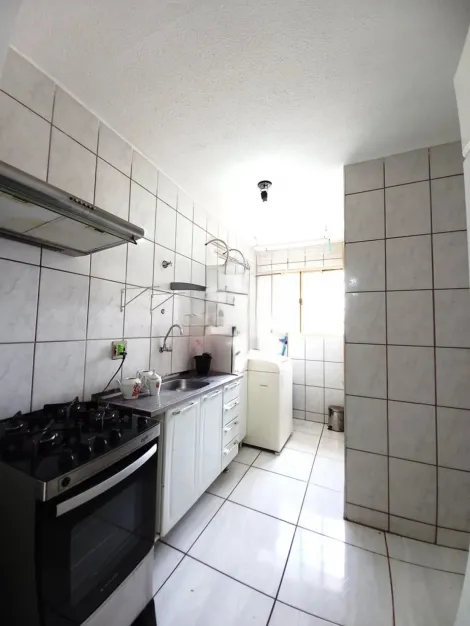 Alugar Apartamento / Padr&atilde;o em S&atilde;o Jos&eacute; do Rio Preto R$ 1.300,00 - Foto 15