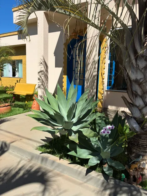 Comprar Rural / Rancho em Buritama R$ 800.000,00 - Foto 15