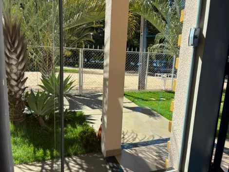 Comprar Rural / Rancho em Buritama R$ 800.000,00 - Foto 18