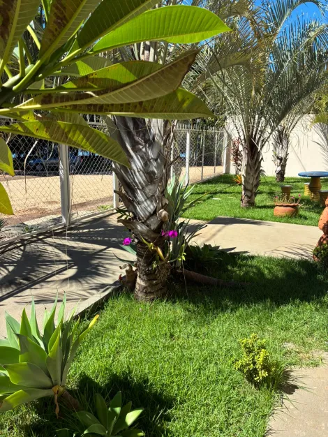Comprar Rural / Rancho em Buritama R$ 800.000,00 - Foto 17