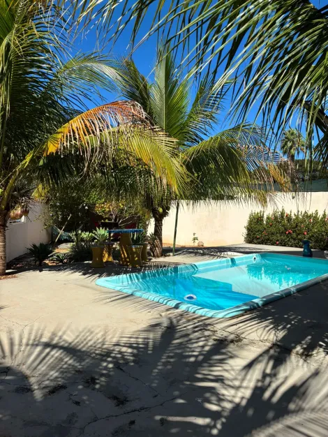 Comprar Rural / Rancho em Buritama R$ 800.000,00 - Foto 12