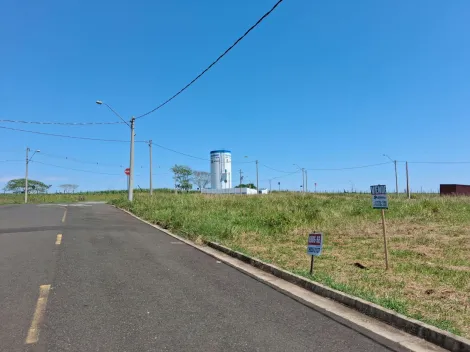 Comprar Terreno / Padr&atilde;o em S&atilde;o Jos&eacute; do Rio Preto R$ 130.000,00 - Foto 3