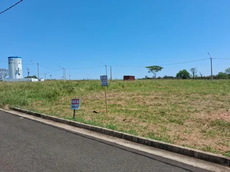 Comprar Terreno / Padr&atilde;o em S&atilde;o Jos&eacute; do Rio Preto R$ 130.000,00 - Foto 4