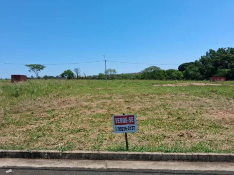 Comprar Terreno / Padr&atilde;o em S&atilde;o Jos&eacute; do Rio Preto R$ 130.000,00 - Foto 7