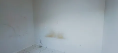 Alugar Casa / Padr&atilde;o em S&atilde;o Jos&eacute; do Rio Preto R$ 1.000,00 - Foto 7