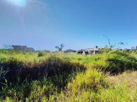 Comprar Terreno / Padr&atilde;o em S&atilde;o Jos&eacute; do Rio Preto R$ 95.000,00 - Foto 5