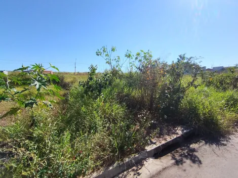 Comprar Terreno / Padr&atilde;o em S&atilde;o Jos&eacute; do Rio Preto R$ 95.000,00 - Foto 3
