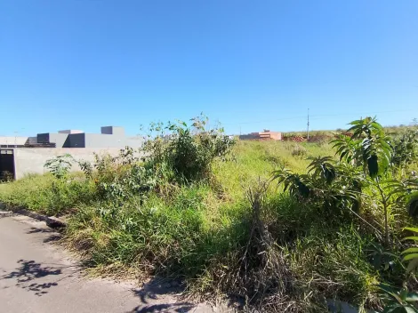 Comprar Terreno / Padr&atilde;o em S&atilde;o Jos&eacute; do Rio Preto R$ 95.000,00 - Foto 2