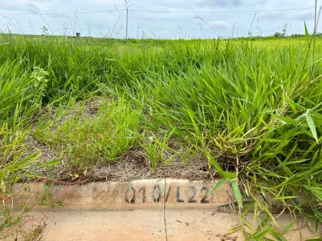 Comprar Terreno / Padr&atilde;o em S&atilde;o Jos&eacute; do Rio Preto R$ 95.000,00 - Foto 2