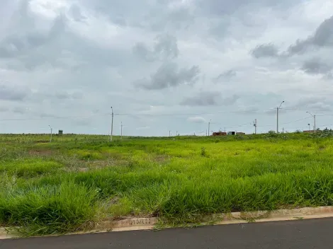 Comprar Terreno / Padr&atilde;o em S&atilde;o Jos&eacute; do Rio Preto R$ 95.000,00 - Foto 4
