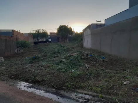 Comprar Terreno / Padr&atilde;o em Bady Bassitt R$ 115.000,00 - Foto 2
