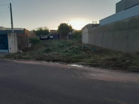 Comprar Terreno / Padr&atilde;o em Bady Bassitt R$ 115.000,00 - Foto 3