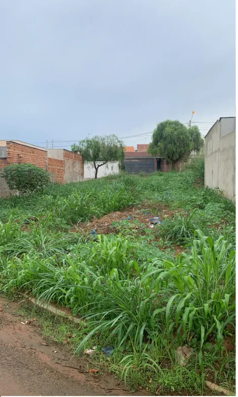 Comprar Terreno / Padr&atilde;o em Bady Bassitt R$ 115.000,00 - Foto 4