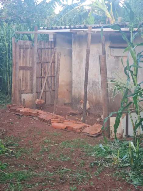 Comprar Rural / Ch&aacute;cara em S&atilde;o Jos&eacute; do Rio Preto R$ 240.000,00 - Foto 18