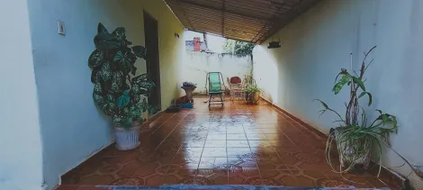 Alugar Casa / Padr&atilde;o em S&atilde;o Jos&eacute; do Rio Preto. apenas R$ 3.000,00
