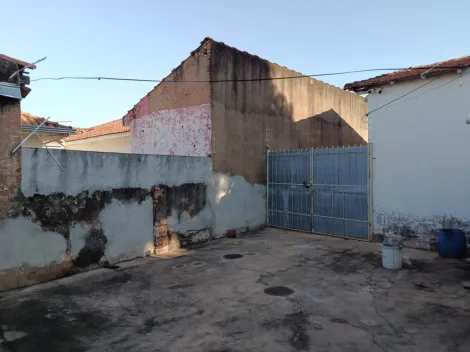 Alugar Casa / Padr&atilde;o em S&atilde;o Jos&eacute; do Rio Preto R$ 1.000,00 - Foto 10