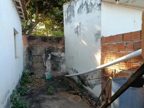 Alugar Casa / Padr&atilde;o em S&atilde;o Jos&eacute; do Rio Preto R$ 1.000,00 - Foto 11