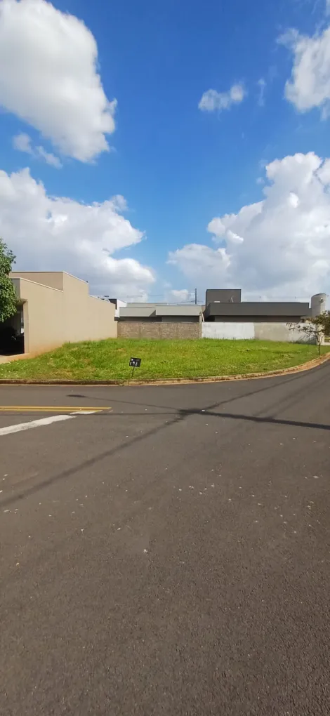 Comprar Terreno / Condom&iacute;nio em Ipigu&aacute; R$ 155.000,00 - Foto 2