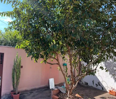 Comprar Casa / Padr&atilde;o em S&atilde;o Jos&eacute; do Rio Preto R$ 250.000,00 - Foto 14