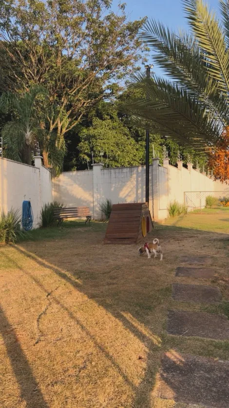 Comprar Apartamento / Padr&atilde;o em S&atilde;o Jos&eacute; do Rio Preto R$ 310.000,00 - Foto 23