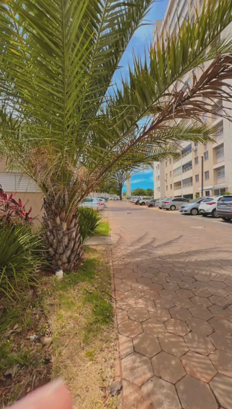 Comprar Apartamento / Padr&atilde;o em S&atilde;o Jos&eacute; do Rio Preto R$ 310.000,00 - Foto 19