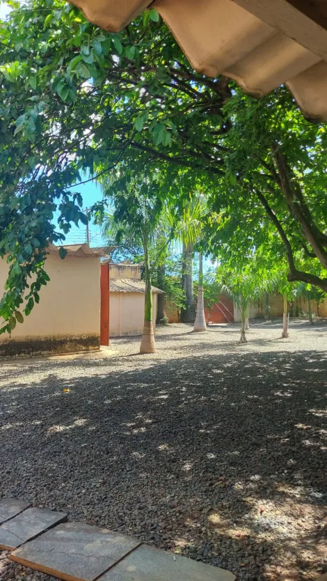 Comprar Casa / Padr&atilde;o em Nova Alian&ccedil;a R$ 2.000.000,00 - Foto 12