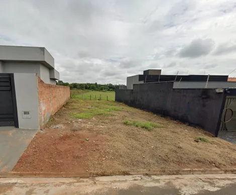 Terreno / Padr&atilde;o em S&atilde;o Jos&eacute; do Rio Preto 