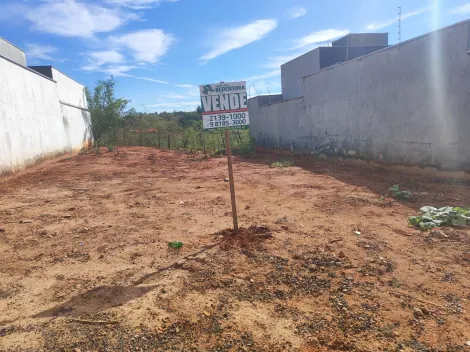 Comprar Terreno / Padr&atilde;o em S&atilde;o Jos&eacute; do Rio Preto R$ 110.000,00 - Foto 4
