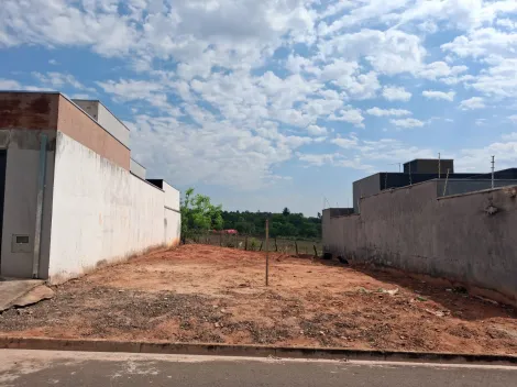Comprar Terreno / Padr&atilde;o em S&atilde;o Jos&eacute; do Rio Preto R$ 110.000,00 - Foto 10