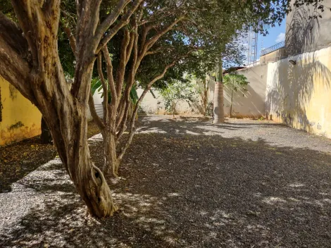 Comprar Comercial / Sal&atilde;o em S&atilde;o Jos&eacute; do Rio Preto R$ 750.000,00 - Foto 24