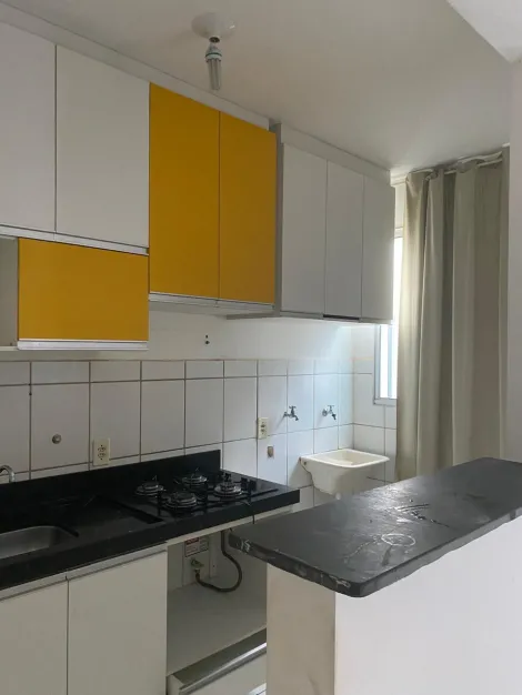 Apartamento / Padr&atilde;o em S&atilde;o Jos&eacute; do Rio Preto 