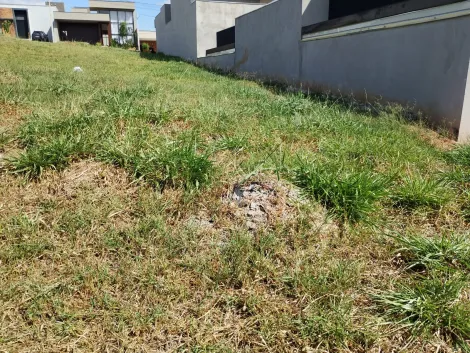 Comprar Terreno / Condom&iacute;nio em S&atilde;o Jos&eacute; do Rio Preto R$ 240.000,00 - Foto 3