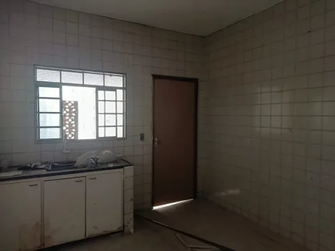 Alugar Casa / Padr&atilde;o em S&atilde;o Jos&eacute; do Rio Preto R$ 1.000,00 - Foto 4