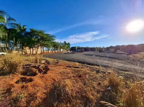 Terreno / &Aacute;rea em Cedral 