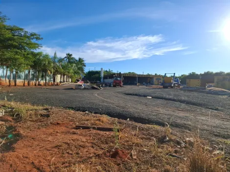 Alugar Terreno / &Aacute;rea em Cedral R$ 30.000,00 - Foto 2