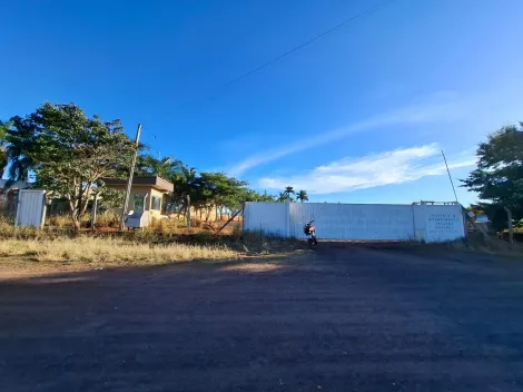 Alugar Terreno / &Aacute;rea em Cedral R$ 30.000,00 - Foto 3