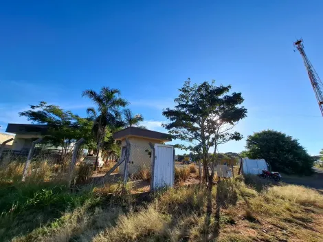 Alugar Terreno / &Aacute;rea em Cedral R$ 30.000,00 - Foto 4