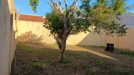 Comprar Casa / Padr&atilde;o em Catanduva R$ 283.000,00 - Foto 11