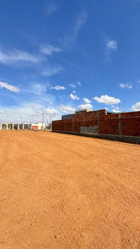 Terreno / Padr&atilde;o em S&atilde;o Jos&eacute; do Rio Preto 