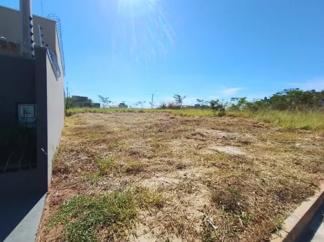 Comprar Terreno / Padr&atilde;o em S&atilde;o Jos&eacute; do Rio Preto R$ 98.000,00 - Foto 4