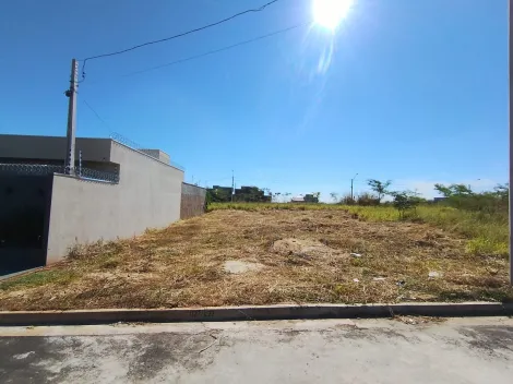 Comprar Terreno / Padr&atilde;o em S&atilde;o Jos&eacute; do Rio Preto R$ 98.000,00 - Foto 2