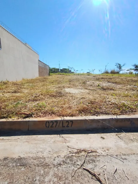 Terreno / Padr&atilde;o em S&atilde;o Jos&eacute; do Rio Preto 