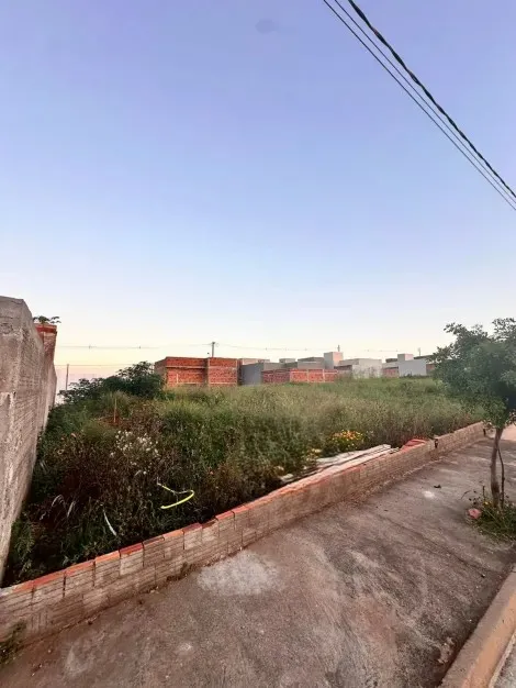 Comprar Terreno / Padr&atilde;o em Mirassol R$ 110.000,00 - Foto 2